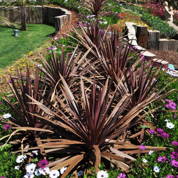 delphin_imperial_hotel_9